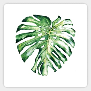 Monstera leaf Magnet